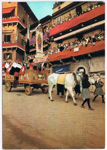 Italy Postcard Siena The Race The Corroccio