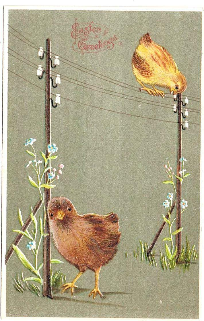 Easter Postcard Bird On Wire & On Ground Made In Germany