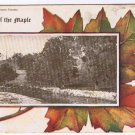 Ontario Postcard Toronto Scene On The Don Land Of The Maple Leaf AH Cooper