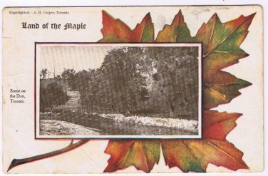 Ontario Postcard Toronto Scene On The Don Land Of The Maple Leaf AH Cooper