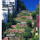 California Postcard San Francisco Crookedest Street In The World Hydrangeas