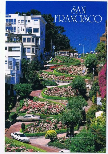 California Postcard San Francisco Crookedest Street In The World Hydrangeas