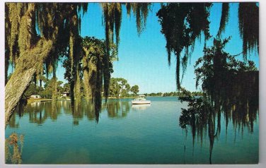 Florida Postcard Tarpon Springs Cabin Cruiser On Lake Tarpon
