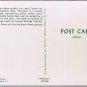 Florida Postcard Tarpon Springs Cabin Cruiser On Lake Tarpon