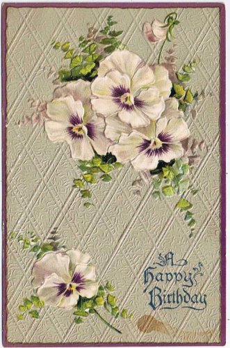 Greetings Postcard Embossed A Happy Birthday White Pansies