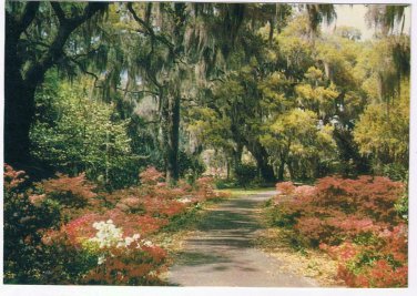 Postcard Springtime Along The Gulf Coast Of Florida