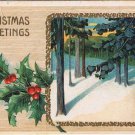 Holiday Postcard Embossed Christmas Snow In Woods Mistletoe