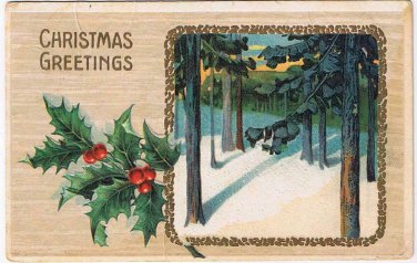 Holiday Postcard Embossed Christmas Snow In Woods Mistletoe