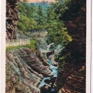 Postcard Artist Dream Watkins Glen New York