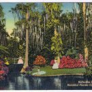 Postcard Reflection Pool Cypress Gardens Florida