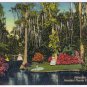 Postcard Reflection Pool Cypress Gardens Florida