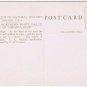 Postcard Northern White Tailed Or Virginia Deer Field Museum Natural History
