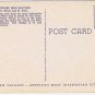 Louisiana Postcard New Orleans Lacework Iron Balcony Royal & St Peter