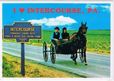 Pennsylvania Postcard I Love Intercourse Courting Buggy No Top