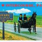 Pennsylvania Postcard I Love Intercourse Courting Buggy No Top