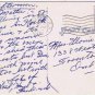 North Carolina Postcard Azaleas In Bloom In Dixieland