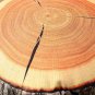 Creative Log Wood Shape Pillow Home Office Car Comfortable Cushion
