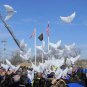 Helium Pigeon Wedding Decoration Eco Flying White Dove Balloon