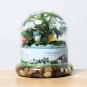 Garden Flowerpot Decorations Mini Stones Micro Landscape DIY