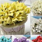 Colourful Vivid Calla Lily Bridal Bouquet Wedding Car Decoration