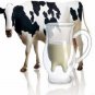 Creative Cup Double Glass Microwaveable Heat Milk Cup