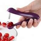 Handheld Stainless Steel Cherry Pitter Fruit Olive Core Remover