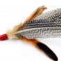 Cat Teaser Rod Toy Real Feathers of Guinea Fowl