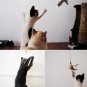 Cat Teaser Rod Toy Real Feathers of Guinea Fowl