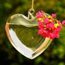 Heart Shape Hanging Glass Vase Garden Hydroponic Plants Container