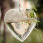 Heart Shape Hanging Glass Vase Garden Hydroponic Plants Container