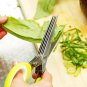 5 Blades Stainless Steel Kitchen Herb Craft Shredding Paper Cutting Scissors