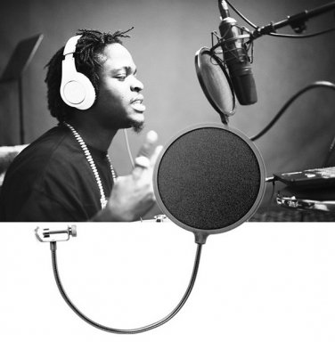 Double Layer Studio Microphone Wind Screen Mask Gooseneck Shield Pop Filter