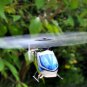 V977 Power Star X1 6CH 2.4G Brushless RC Helicopter RTF