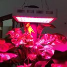 300W Plant Growth LED Lamp Garden Greenhouse Plant Seedling Light