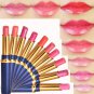 10 Colors Lipstick Moist Waterproof Long Lasting Lip Makeup