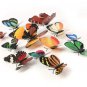 12Pcs 3D Butterfly Brooch Magnet Wall Sticker Home Room Curtain Wedding Decoration