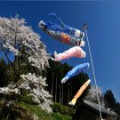 Flag Carp Banners Windsock Sailfish Koinobori Muticolor Fish
