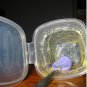 Baby BPA Free Containers Box Feeding Pots Tray Storage