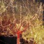2M String Copper Wire Fairy Lights Christmas Home Decoration