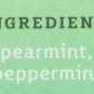 Stash Tea MOROCCAN MINT Green Tea Caffeinated Non-GMO Verified Premium (2 Boxes)