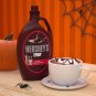 HERSHEY'S Genuine Chocolate Syrup 48oz Bulk Bottle (2 Pack).... BSB DATE 12/2022
