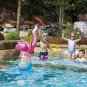 Ring Fling - FLA Ringo Inflatable Ring Toss Game