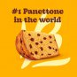 Bauducco Mini Panettone Chocolate Chips Traditional Italian Holiday Cake 2.8 Oz.