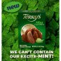 Terry's Milk Chocolate Natural Mint Splits into 20 sections Candy 5.11oz 1 Pk