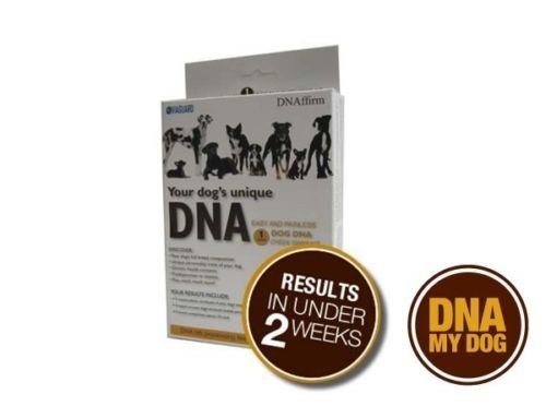 DNA based diagnostic test My Dog Breed ID Test Kit, identify over 100 components