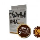DNA based diagnostic test My Dog Breed ID Test Kit, identify over 100 components