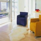 Sheepskin Rug - Natural White - Single Pelt - Apx 2'x3'