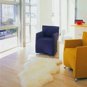 Sheepskin Rug - Natural White - Single Pelt - Apx 2'x3'