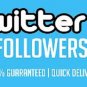 Twitter 1000 Followers or Retweets Real Human Post,[24H Max.(Express)