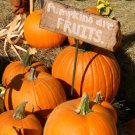 Pumpkins Are Fruit!